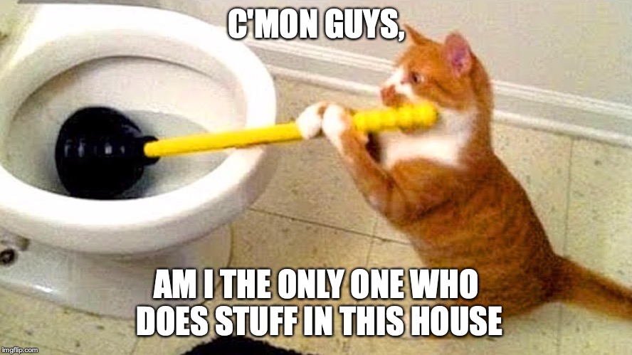 dumb humans | C'MON GUYS, AM I THE ONLY ONE WHO DOES STUFF IN THIS HOUSE | image tagged in funny meme | made w/ Imgflip meme maker