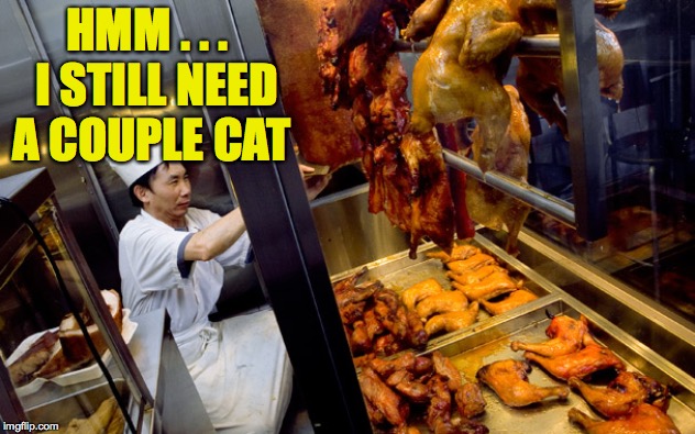 I didn't know this site had a commissary! | HMM . . .  I STILL NEED A COUPLE CAT | image tagged in memes,commissary,imgflip | made w/ Imgflip meme maker