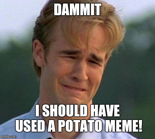 1990s First World Problems Meme | DAMMIT I SHOULD HAVE USED A POTATO MEME! | image tagged in memes,1990s first world problems | made w/ Imgflip meme maker