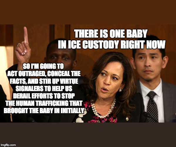 Kamala "Knee Pads" Harris the Walking Red Herring | THERE IS ONE BABY IN ICE CUSTODY RIGHT NOW; SO I'M GOING TO ACT OUTRAGED, CONCEAL THE FACTS, AND STIR UP VIRTUE SIGNALERS TO HELP US DERAIL EFFORTS TO STOP THE HUMAN TRAFFICKING THAT BROUGHT THE BABY IN INITIALLY | image tagged in kamala harris,dnc,build the wall,trump 2020,infowars | made w/ Imgflip meme maker