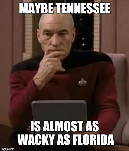picard thinking | MAYBE TENNESSEE IS ALMOST AS WACKY AS FLORIDA | image tagged in picard thinking | made w/ Imgflip meme maker