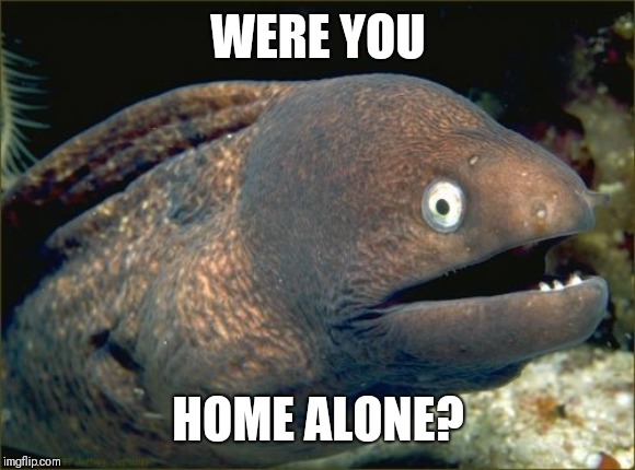 Bad Joke Eel Meme | WERE YOU HOME ALONE? | image tagged in memes,bad joke eel | made w/ Imgflip meme maker