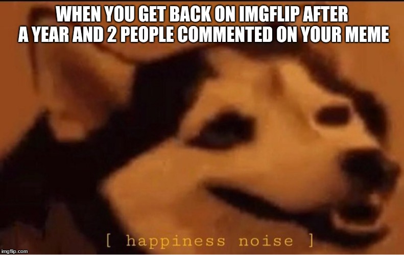 happines noise | WHEN YOU GET BACK ON IMGFLIP AFTER A YEAR AND 2 PEOPLE COMMENTED ON YOUR MEME | image tagged in happines noise | made w/ Imgflip meme maker