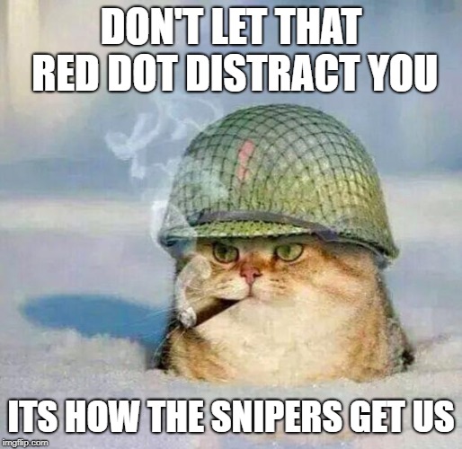 War Cat |  DON'T LET THAT RED DOT DISTRACT YOU; ITS HOW THE SNIPERS GET US | image tagged in war cat | made w/ Imgflip meme maker