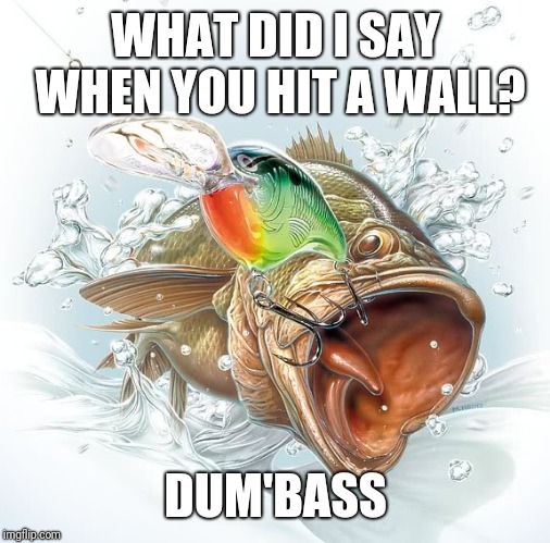 Bass fishing | WHAT DID I SAY WHEN YOU HIT A WALL? DUM'BASS | image tagged in bass fishing | made w/ Imgflip meme maker