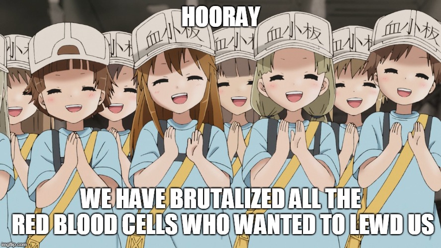 Platelet | HOORAY; WE HAVE BRUTALIZED ALL THE RED BLOOD CELLS WHO WANTED TO LEWD US | image tagged in platelets cells at work | made w/ Imgflip meme maker