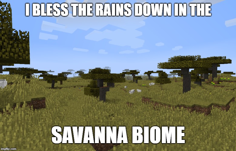 minecraft savanna | I BLESS THE RAINS DOWN IN THE; SAVANNA BIOME | image tagged in minecraft,toto,africa | made w/ Imgflip meme maker