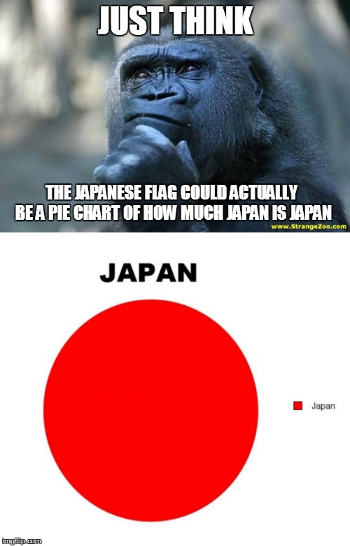 JUST THINK; THE JAPANESE FLAG COULD ACTUALLY BE A PIE CHART OF HOW MUCH JAPAN IS JAPAN | image tagged in deep thoughts | made w/ Imgflip meme maker