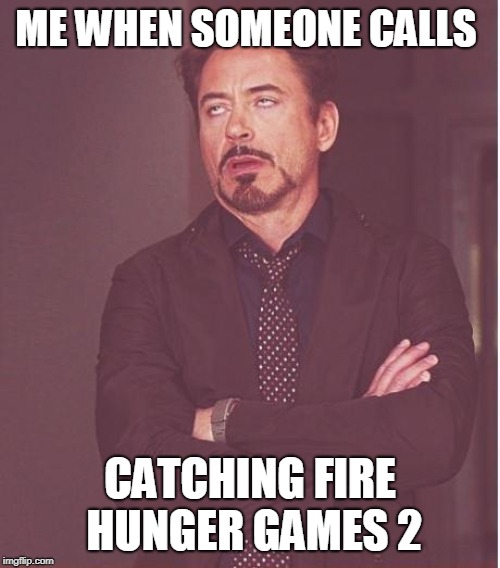 Face You Make Robert Downey Jr Meme | ME WHEN SOMEONE CALLS; CATCHING FIRE HUNGER GAMES 2 | image tagged in memes,face you make robert downey jr | made w/ Imgflip meme maker