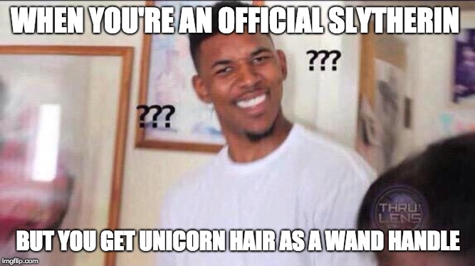 Black guy confused | WHEN YOU'RE AN OFFICIAL SLYTHERIN; BUT YOU GET UNICORN HAIR AS A WAND HANDLE | image tagged in black guy confused | made w/ Imgflip meme maker