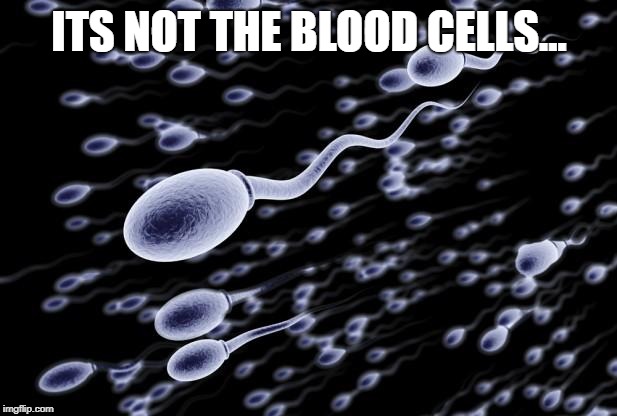 sperm swimming | ITS NOT THE BLOOD CELLS... | image tagged in sperm swimming | made w/ Imgflip meme maker