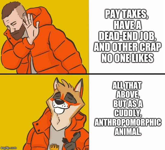 Furry boi is better than normal boi | ALL THAT ABOVE, BUT AS A CUDDLY, ANTHROPOMORPHIC ANIMAL. PAY TAXES, HAVE A DEAD-END JOB, AND OTHER CRAP NO ONE LIKES | image tagged in furry drake,furries,furries are awsome so stfu about them,guess who i am and i wil eat my hat,reee | made w/ Imgflip meme maker