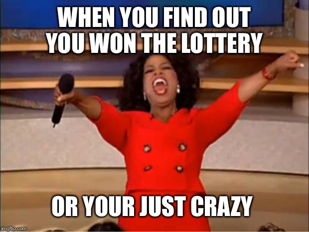 Oprah You Get A Meme | WHEN YOU FIND OUT YOU WON THE LOTTERY; OR YOUR JUST CRAZY | image tagged in memes,oprah you get a | made w/ Imgflip meme maker