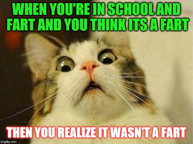 Scared Cat | WHEN YOU'RE IN SCHOOL AND FART AND YOU THINK ITS A FART; THEN YOU REALIZE IT WASN'T A FART | image tagged in memes,scared cat,fart,farts,school,bad luck | made w/ Imgflip meme maker