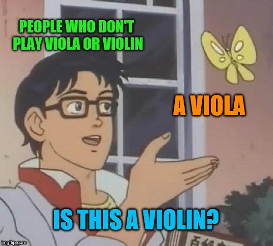 Is This A Pigeon | PEOPLE WHO DON'T PLAY VIOLA OR VIOLIN; A VIOLA; IS THIS A VIOLIN? | image tagged in memes,is this a pigeon | made w/ Imgflip meme maker