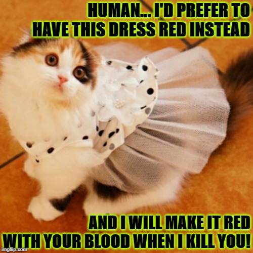 HUMAN... I'D PREFER TO HAVE THIS DRESS RED INSTEAD; AND I WILL MAKE IT RED WITH YOUR BLOOD WHEN I KILL YOU! | image tagged in i'm gonna kill | made w/ Imgflip meme maker