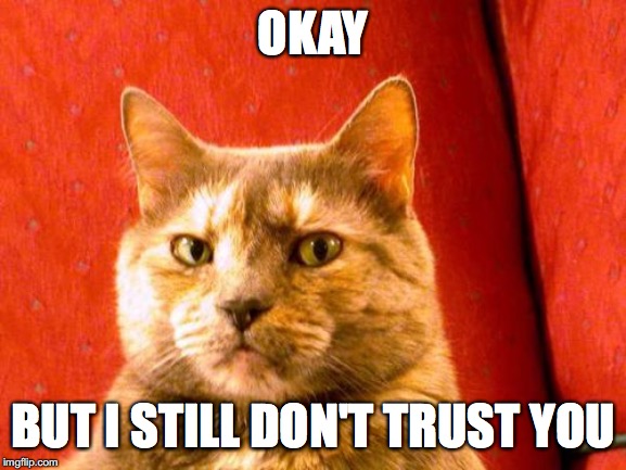 Suspicious Cat Meme | OKAY BUT I STILL DON'T TRUST YOU | image tagged in memes,suspicious cat | made w/ Imgflip meme maker
