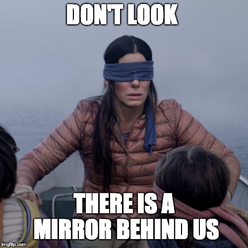 Bird Box Meme | DON'T LOOK; THERE IS A MIRROR BEHIND US | image tagged in memes,bird box | made w/ Imgflip meme maker