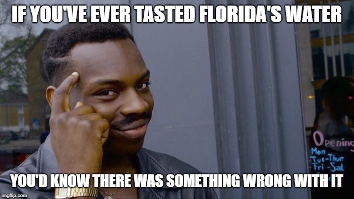 Roll Safe Think About It Meme | IF YOU'VE EVER TASTED FLORIDA'S WATER YOU'D KNOW THERE WAS SOMETHING WRONG WITH IT | image tagged in memes,roll safe think about it | made w/ Imgflip meme maker