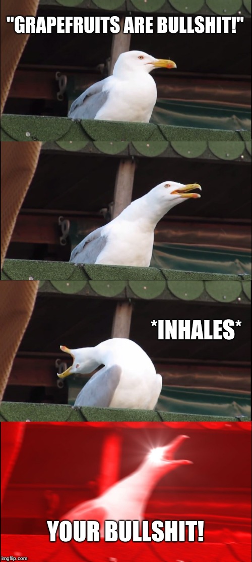 Inhaling Seagull Meme | "GRAPEFRUITS ARE BULLSHIT!"; *INHALES*; YOUR BULLSHIT! | image tagged in memes,inhaling seagull | made w/ Imgflip meme maker