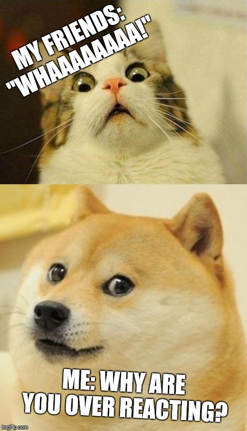MY FRIENDS: "WHAAAAAAAA!"; ME: WHY ARE YOU OVER REACTING? | image tagged in memes,scared cat,doge | made w/ Imgflip meme maker