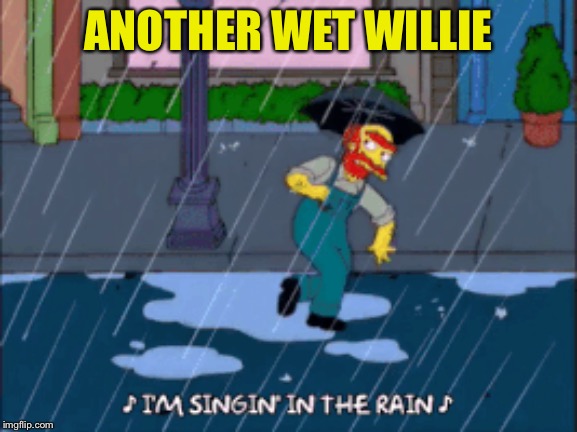 ANOTHER WET WILLIE | made w/ Imgflip meme maker