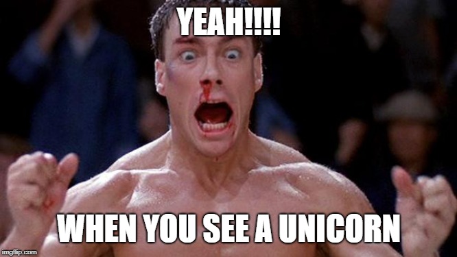 Blood sport Cocaine | YEAH!!!! WHEN YOU SEE A UNICORN | image tagged in blood sport cocaine | made w/ Imgflip meme maker