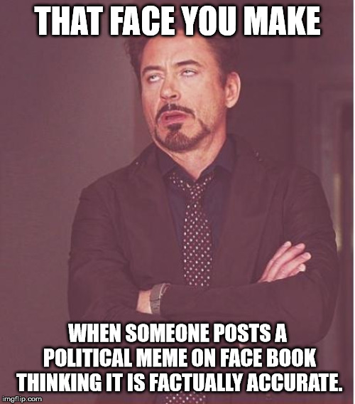 Face You Make Robert Downey Jr Meme | THAT FACE YOU MAKE; WHEN SOMEONE POSTS A POLITICAL MEME ON FACE BOOK THINKING IT IS FACTUALLY ACCURATE. | image tagged in memes,face you make robert downey jr | made w/ Imgflip meme maker