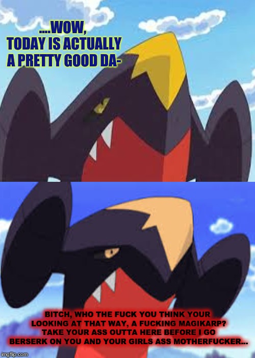 WOAH WOAH WOOOOAH, CHILL THE FORK  OUT MAH DUDE, NIGGA WENT FROM 0 TO 600 INSTANTLY!!! | ....WOW, TODAY IS ACTUALLY A PRETTY GOOD DA-; BITCH, WHO THE FUCK YOU THINK YOUR LOOKING AT THAT WAY, A FUCKING MAGIKARP? TAKE YOUR ASS OUTTA HERE BEFORE I GO BERSERK ON YOU AND YOUR GIRLS ASS MOTHERFUCKER... | image tagged in don't fuck with a garchomp,that thinks it's gonna have,a good day today | made w/ Imgflip meme maker