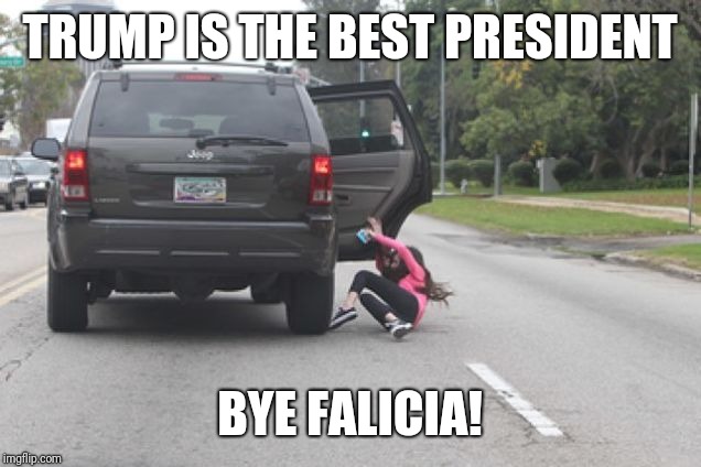 Kicked Out of Car | TRUMP IS THE BEST PRESIDENT; BYE FALICIA! | image tagged in kicked out of car | made w/ Imgflip meme maker