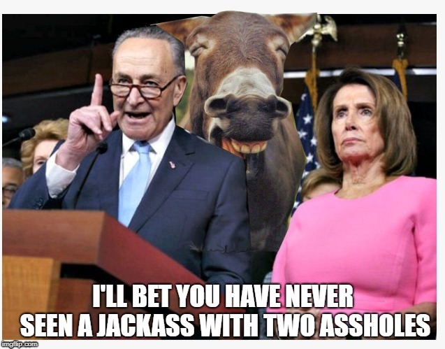 Jackass with two assholes | image tagged in nancy pelosi,chuck schumer,jackass,asshole,ass | made w/ Imgflip meme maker