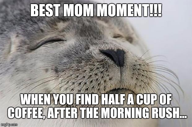 Satisfied Seal | BEST MOM MOMENT!!! WHEN YOU FIND HALF A CUP OF COFFEE, AFTER THE MORNING RUSH... | image tagged in memes,satisfied seal | made w/ Imgflip meme maker