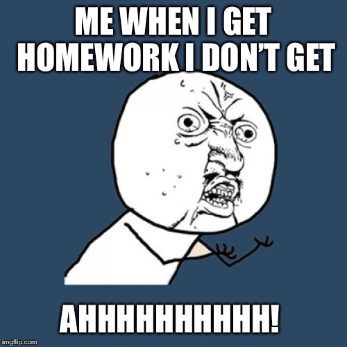 Y U No Meme | ME WHEN I GET HOMEWORK I DON’T GET; AHHHHHHHHHH! | image tagged in memes,y u no | made w/ Imgflip meme maker