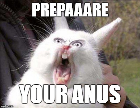 When you match with a girl on Tinder |  PREPAAARE; YOUR ANUS | image tagged in rabbit_face_right | made w/ Imgflip meme maker