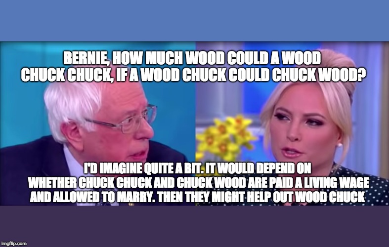 More Moments of Unintentional Honesty with Bernie Sanders | BERNIE, HOW MUCH WOOD COULD A WOOD CHUCK CHUCK, IF A WOOD CHUCK COULD CHUCK WOOD? I'D IMAGINE QUITE A BIT. IT WOULD DEPEND ON WHETHER CHUCK CHUCK AND CHUCK WOOD ARE PAID A LIVING WAGE AND ALLOWED TO MARRY. THEN THEY MIGHT HELP OUT WOOD CHUCK | image tagged in bernie sanders,communist socialist,dnc,gop,trump 2020,infowars | made w/ Imgflip meme maker