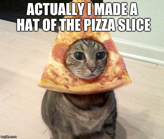 pizza cat | ACTUALLY I MADE A HAT OF THE PIZZA SLICE | image tagged in pizza cat | made w/ Imgflip meme maker