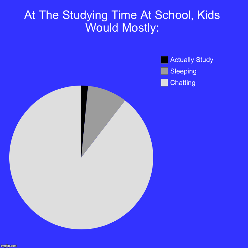 At The Studying Time At School, Kids Would Mostly: | Chatting, Sleeping, Actually Study | image tagged in charts,pie charts | made w/ Imgflip chart maker