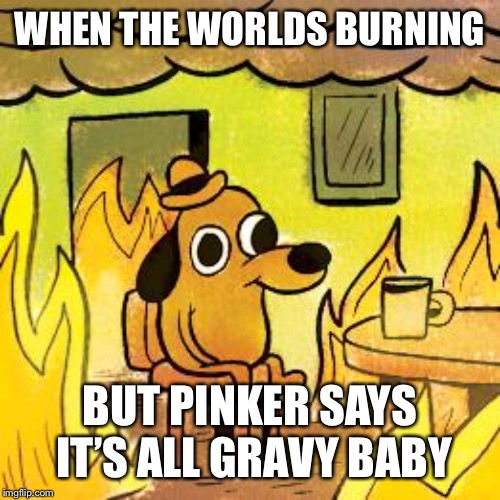 Dog in burning house | WHEN THE WORLDS BURNING; BUT PINKER SAYS IT’S ALL GRAVY BABY | image tagged in dog in burning house | made w/ Imgflip meme maker