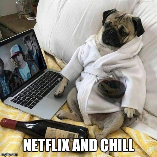 Netflix and chill | NETFLIX AND CHILL | image tagged in funny pug,funny netflix,netfkix and chill | made w/ Imgflip meme maker