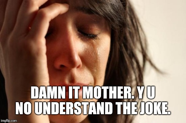 First World Problems Meme | DAMN IT MOTHER. Y U NO UNDERSTAND THE JOKE. | image tagged in memes,first world problems | made w/ Imgflip meme maker