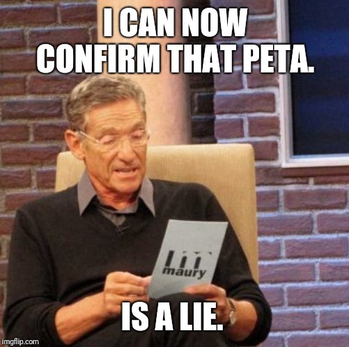 Maury Lie Detector Meme | I CAN NOW CONFIRM THAT PETA. IS A LIE. | image tagged in memes,maury lie detector | made w/ Imgflip meme maker