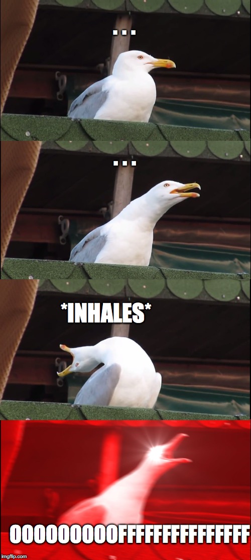 Inhaling Seagull | . . . . . . *INHALES*; OOOOOOOOOFFFFFFFFFFFFFFF | image tagged in memes,inhaling seagull | made w/ Imgflip meme maker