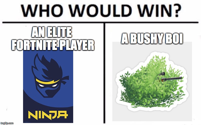 Who Would Win? | AN ELITE FORTNITE PLAYER; A BUSHY BOI | image tagged in memes,who would win | made w/ Imgflip meme maker
