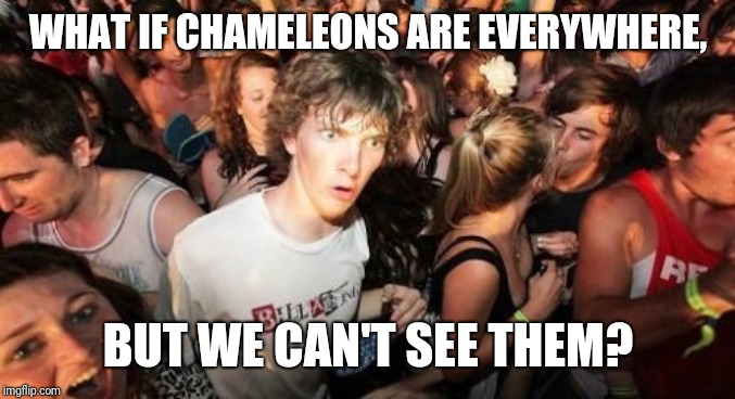 Sudden Clarity Clarence Meme | WHAT IF CHAMELEONS ARE EVERYWHERE, BUT WE CAN'T SEE THEM? | image tagged in memes,sudden clarity clarence | made w/ Imgflip meme maker
