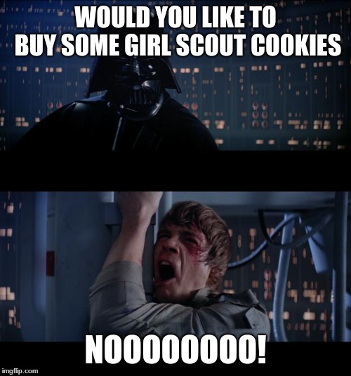 WOULD YOU LIKE TO BUY SOME GIRL SCOUT COOKIES; NOOOOOOOO! | image tagged in star wars | made w/ Imgflip meme maker