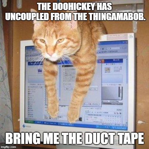 Computer Cat | THE DOOHICKEY HAS UNCOUPLED FROM THE THINGAMABOB. BRING ME THE DUCT TAPE | image tagged in computer cat | made w/ Imgflip meme maker