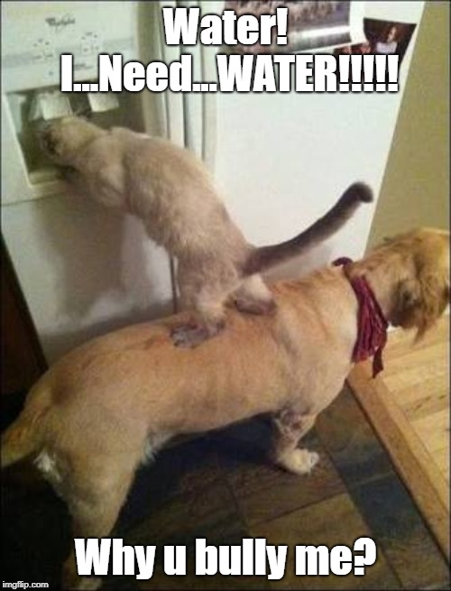 Smart animals | Water! I...Need...WATER!!!!! Why u bully me? | image tagged in smart animals | made w/ Imgflip meme maker