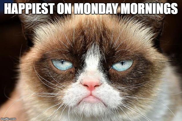 Grumpy Cat Not Amused | HAPPIEST ON MONDAY MORNINGS | image tagged in memes,grumpy cat not amused,grumpy cat | made w/ Imgflip meme maker