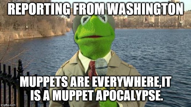 Kermit News Report | REPORTING FROM WASHINGTON MUPPETS ARE EVERYWHERE,IT IS A MUPPET APOCALYPSE. | image tagged in kermit news report | made w/ Imgflip meme maker