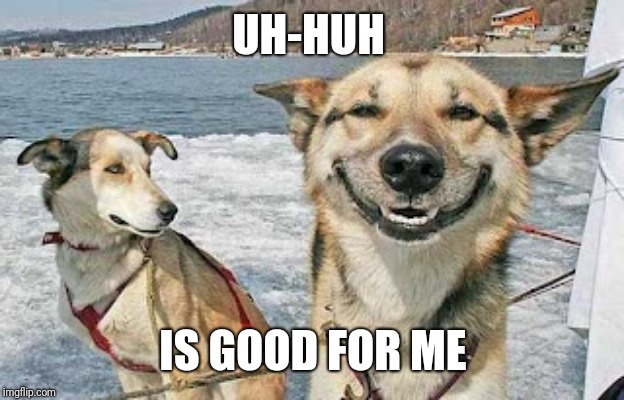 Original Stoner Dog Meme | UH-HUH IS GOOD FOR ME | image tagged in memes,original stoner dog | made w/ Imgflip meme maker